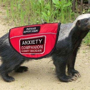 Meet your Posher, Dan